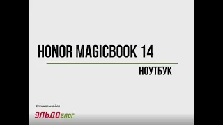 Обзор ноутбука HONOR 14. Возможно лучший ноутбук до 50000 рублей.