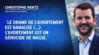 IVG : un député RN compare l'IVG à "un génocide de masse"