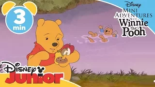 The Mini Adventures of Winnie the Pooh | Roo Goes Swimming | Disney Junior UK