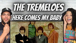 WE LOVE THIS ERA!| FIRST TIME HEARING The Tremeloes -  Here Comes my Baby REACTION