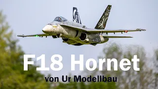 F18 Hornet Tiefflug