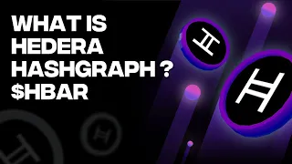 What Is Hedera Hashgraph (HBAR)? (Whiteboard Animated)