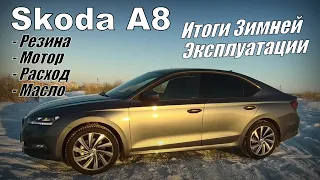 Skoda A8: Итоги 2х Зимовок (2024)