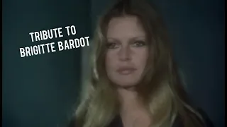 Tribute To Brigitte Bardot | Vendredi sur Mer - Larme à Gauche
