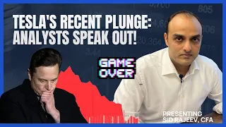 Tesla's Recent Plunge: Analysts Speak Out! | Here's What You Need to Do!