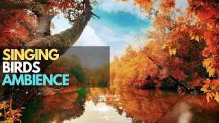 40 MIN AUTUMN AMBIENCE, Singing Birds Ambience, Nature Therapy