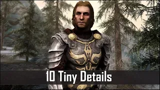 Skyrim: Yet Another 10 Tiny Details That You May Still Have Missed in The Elder Scrolls 5 (Part 38)