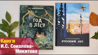 И.С.Соколов-Микитов: книги о русском лесе | Детская книжная полка
