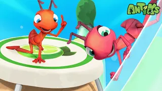 Bottle Rocketeers| 😄🐜| Antiks Adventures - Joey and Boo's Playtime