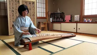 Sakura Sakura play on koto or Japanese harp by Keko Kanagawa in Kyoto, Japan.