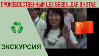 ПРОИЗВОДСТВЕННЫЙ ЦЕХ GREENLEAF  В КИТАЕ Экскурсия на производство  #Greenleaf