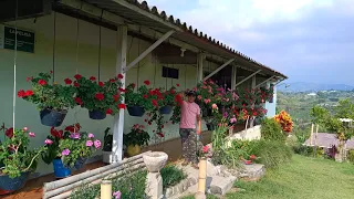 El jardín de Elizabeth  😊 En Pereira, vereda Filo bonito .