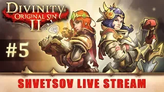 Прохождение Divinity Original Sin 2 (Часть 5) | Король Бракк | Прохождение на русском языке