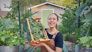 Spend The Day With Me! - Harvesting, Blanching, & Freezing Broccoli, Succession Planting & More!