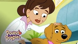 Pound Puppies - Miss Petunia, the Pregnant Dog