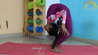 Dimbasana (Advance Backbending)