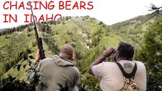 Idaho Bear Hunt...