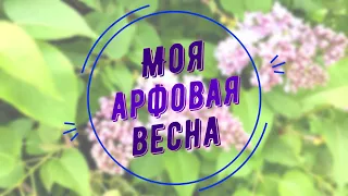 Весенняя арфовая / цветущий май и музыка арфы / OzArFly music