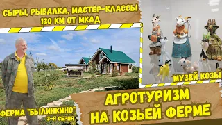 Агротуризм на козьей ферме. Отличное дополнение к сельскохозяйственному бизнесу!  Былинкино. Часть 3