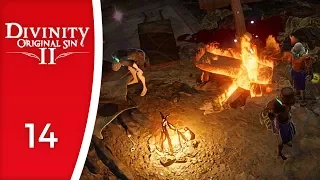 Just set it on fire!! - Let's Play Divinity: Original Sin 2 #14