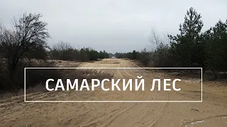 Самарский лес: Поход выходного дня в Днепропетровской области. Кемпинг в Украине.