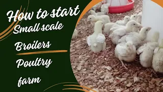 How to Start a small scale Broiler Poultry farm