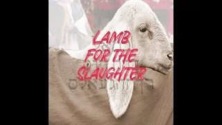 Shaad J. Mack - Lamb For The Slaughter ft. Lama Lamb  Lyric visual