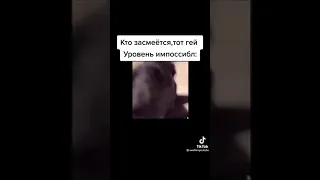 самые смешные видео в мире