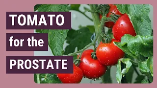 TOMATO for the PROSTATE