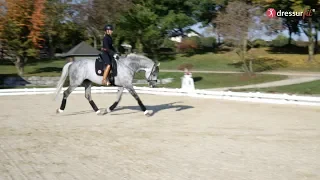 Loosening your horse - as short as possible and as long as neccessary!