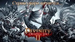 Divinity: Original Sin 2 - Definitive Edition Hard #9 Побережье Жнеца (часть 4).