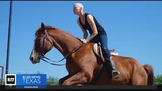 The healing power of horses: A couple's journey with rescued horses