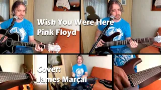 Wish You Were Here (Pink Floyd) Acoustic cover by James Marçal - One Man Band