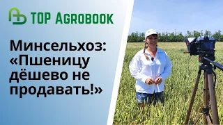 Минсельхоз: «Пшеницу дёшево не продавать!» | Выпуск новостей прямо с полей | TOP Agrobook