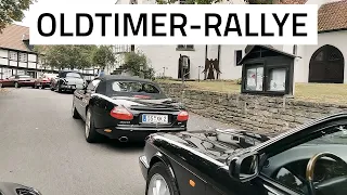 OLDTIMER-RALLYE - mit dem Jaguar um den Dümmer! 🚗🕰✨ |  RAHENBROCK CLASSIC CARS OSNABRÜCK | #oldtimer