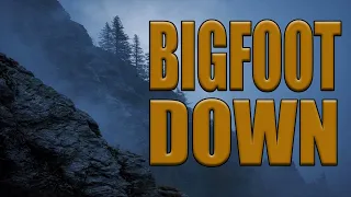 Bigfoot Shot Down