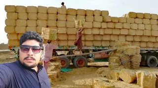 Wheat straw in Pakistan | bhosa press machine | bhusa torri business