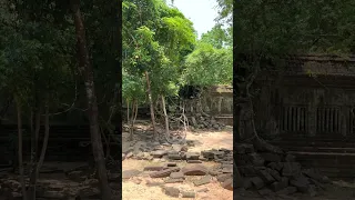 Lost ancient temple in Asia   Bengmelea #short #shorts #temple