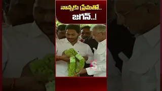 CM YS Jagan Pays Tribute To YS Rajasekhara Reddy At #YSR Ghat In Idupulapaya #ysjagan #ytshorts