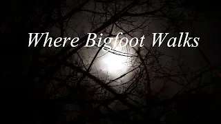 Where Bigfoot Walks ~  SPECIAL PRESENTATION ~ DOCUMENTARY