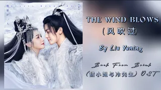 The Wind Blows (风吹过) - Liu Yuning | Back From The Brink Ost (甜小姐与冷先生 OST) Ending Song