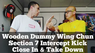 Wing Chun Wooden Dummy (Dummy) fourth form-Section 7