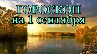 Гороскоп на сегодня. 1 сентября 2020