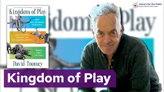 Kingdom of Play