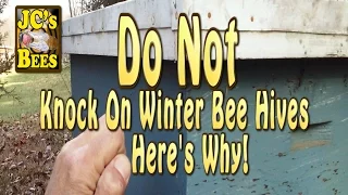 Torpor And Why You May Be Killing Your Bees This Winter
