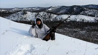 Дальний выстрел. ТРОФЕЙ НА 400м. Вепрь 308 win