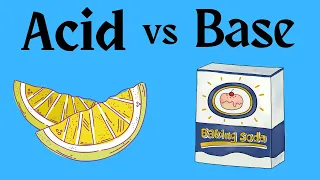 What is a base in Chemistry? Acids and Bases