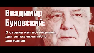 Владимир Буковский: "В стране нет потенциала для оппозиционного движения".