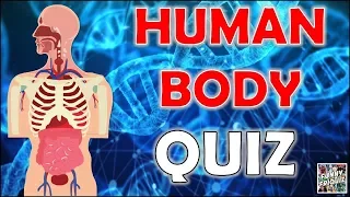 How Much Do You Know About the "HUMAN BODY"? | QUIZ/TRIVIA/QUESTIONS
