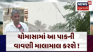 Junagadh | ચોમાસામાં આ પાકની વાવણી માલામાલ કરશે ! | Agriculture | Gujarati News | News 18 | N18V